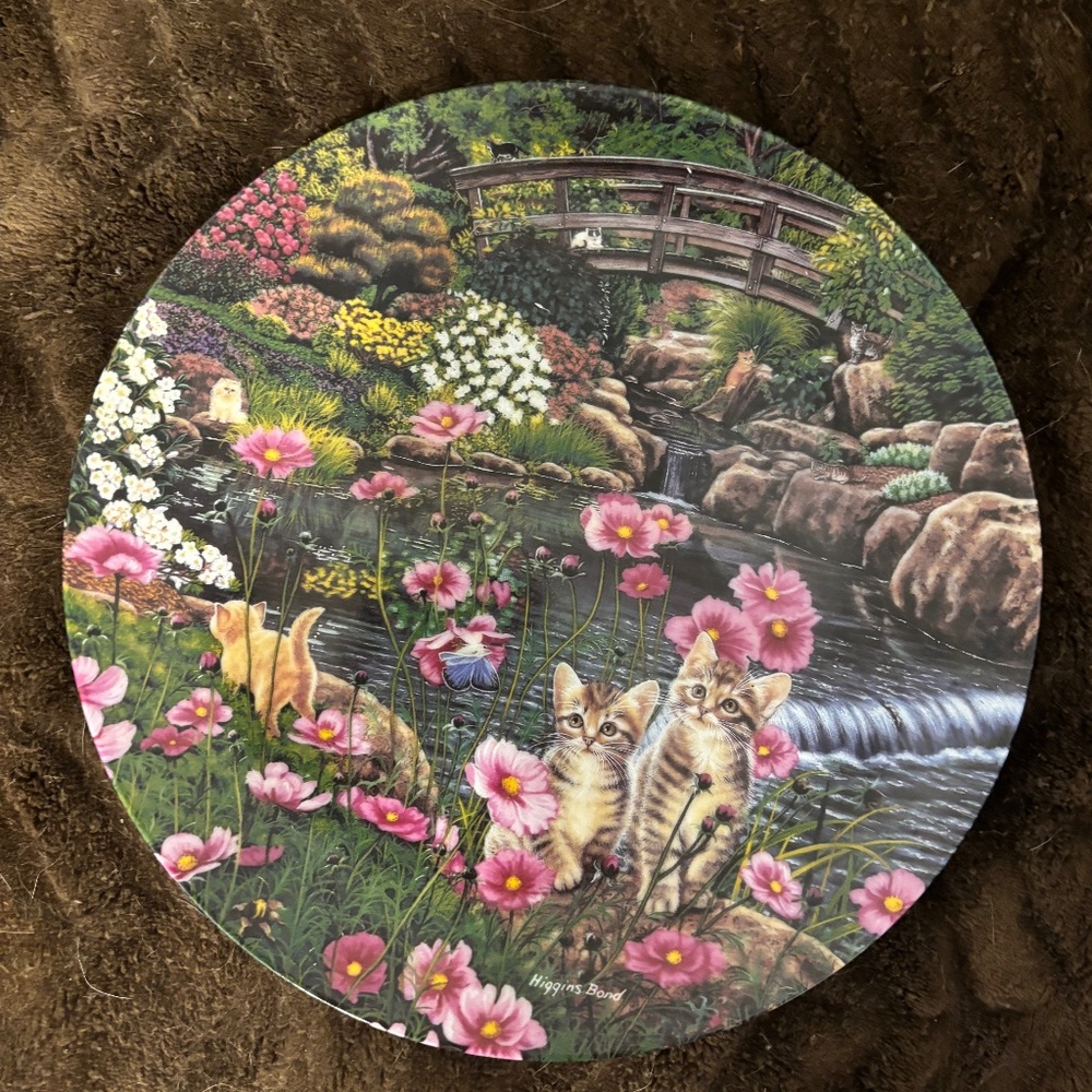 FUN COLLECTOR PLATE
